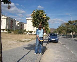 Exterior view of Duplex to share in Punta Umbría  with Furnished, Oven and Washing machine