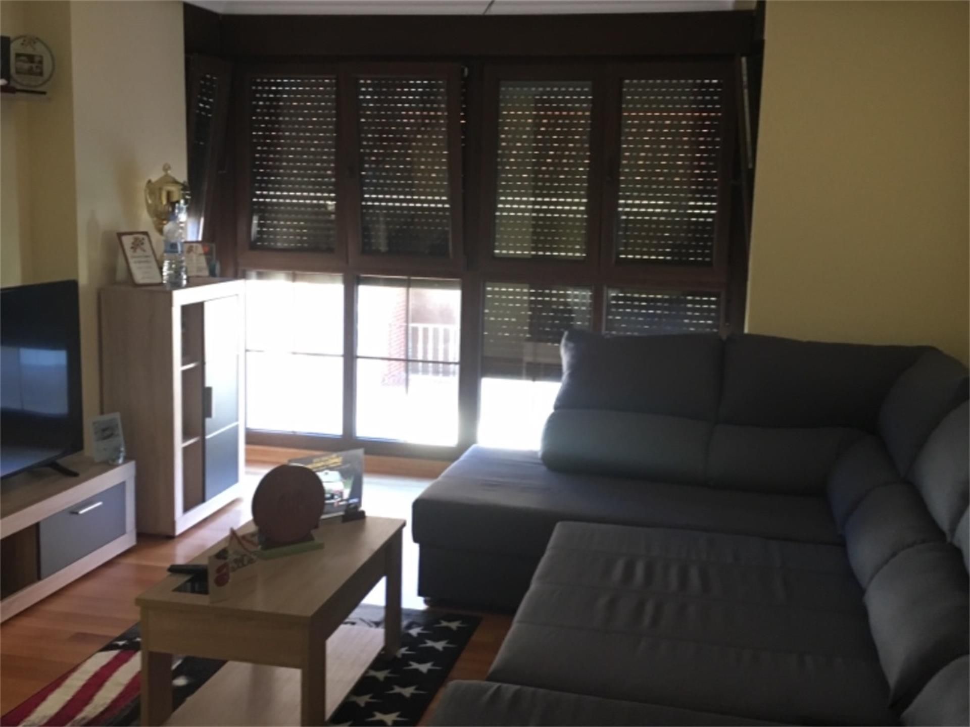 Sala d'estar de Pis en venda en Selaya amb Parquet, Terrassa i Traster