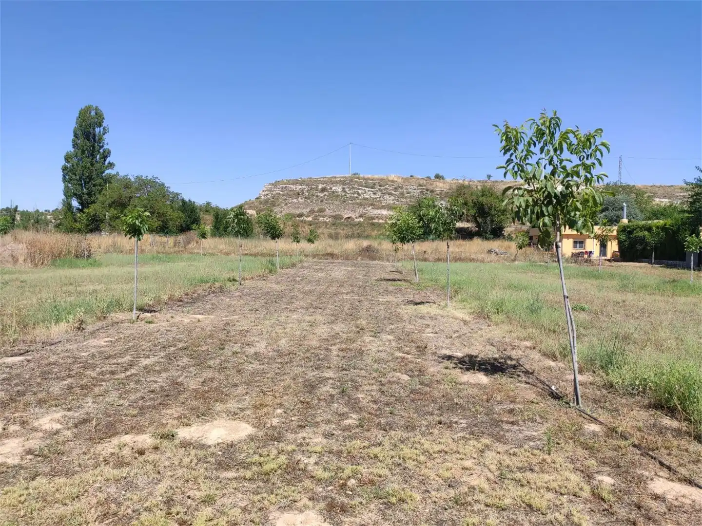 Casa o xalet en venda a Cm-3218, 12, Valdeganga Casa o xalet en venda en Valdeganga amb Aire condicionat, Terrassa i Piscina