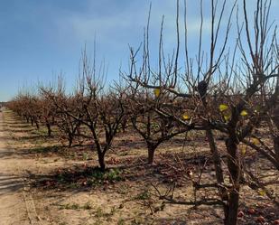 Land for sale in Masalavés