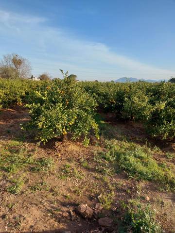 Trastero en Venta en CV-522 en Guadassuar