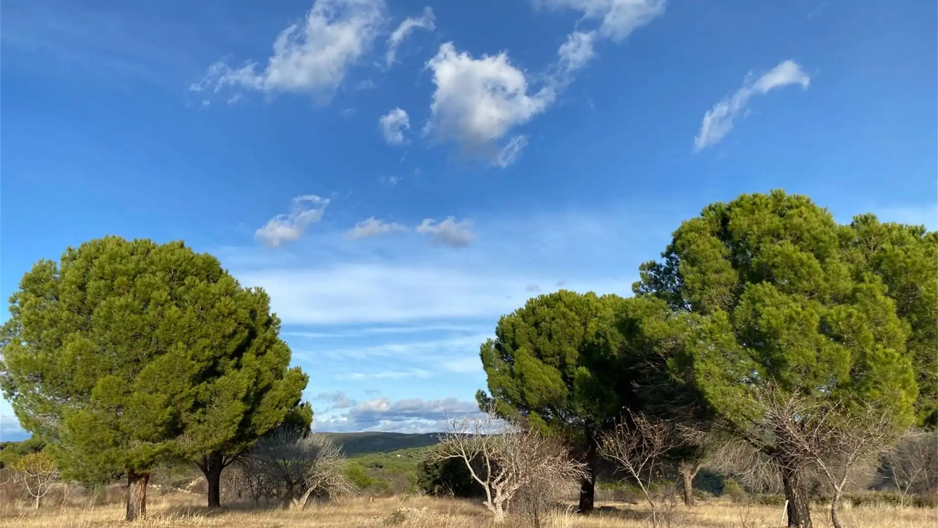 Terreno en venta en Almorox