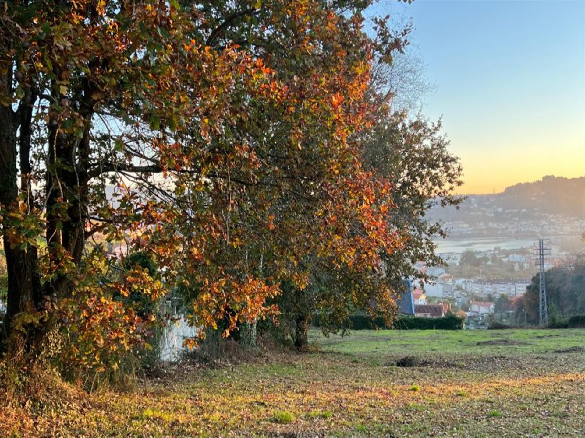 Land for sale in Cabanas