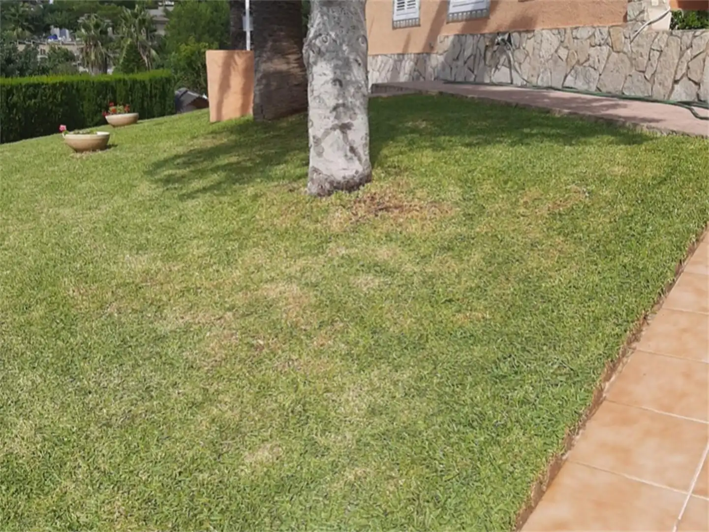 Casa o chalet en venta en Turís Jardín de Casa o chalet en venta en Turís con Aire acondicionado, Terraza y Piscina