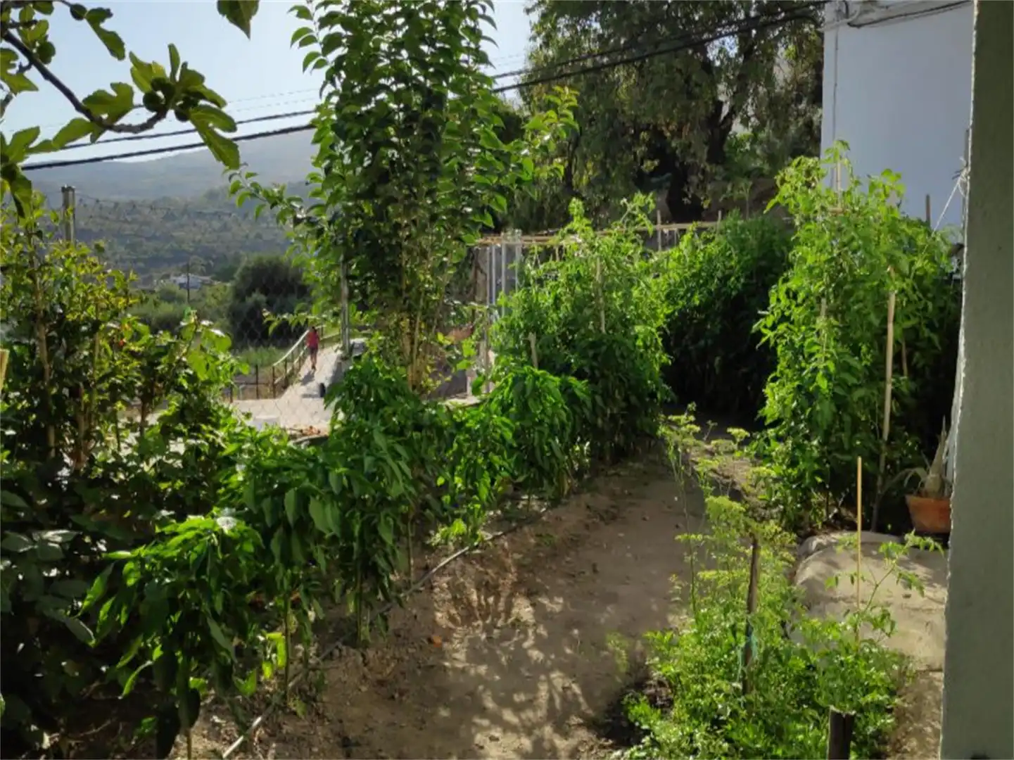 Jardí de Casa o xalet en venda en Válor amb Terrassa