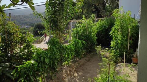 Photo 4 of House or chalet for sale in A-4130, Válor, Granada