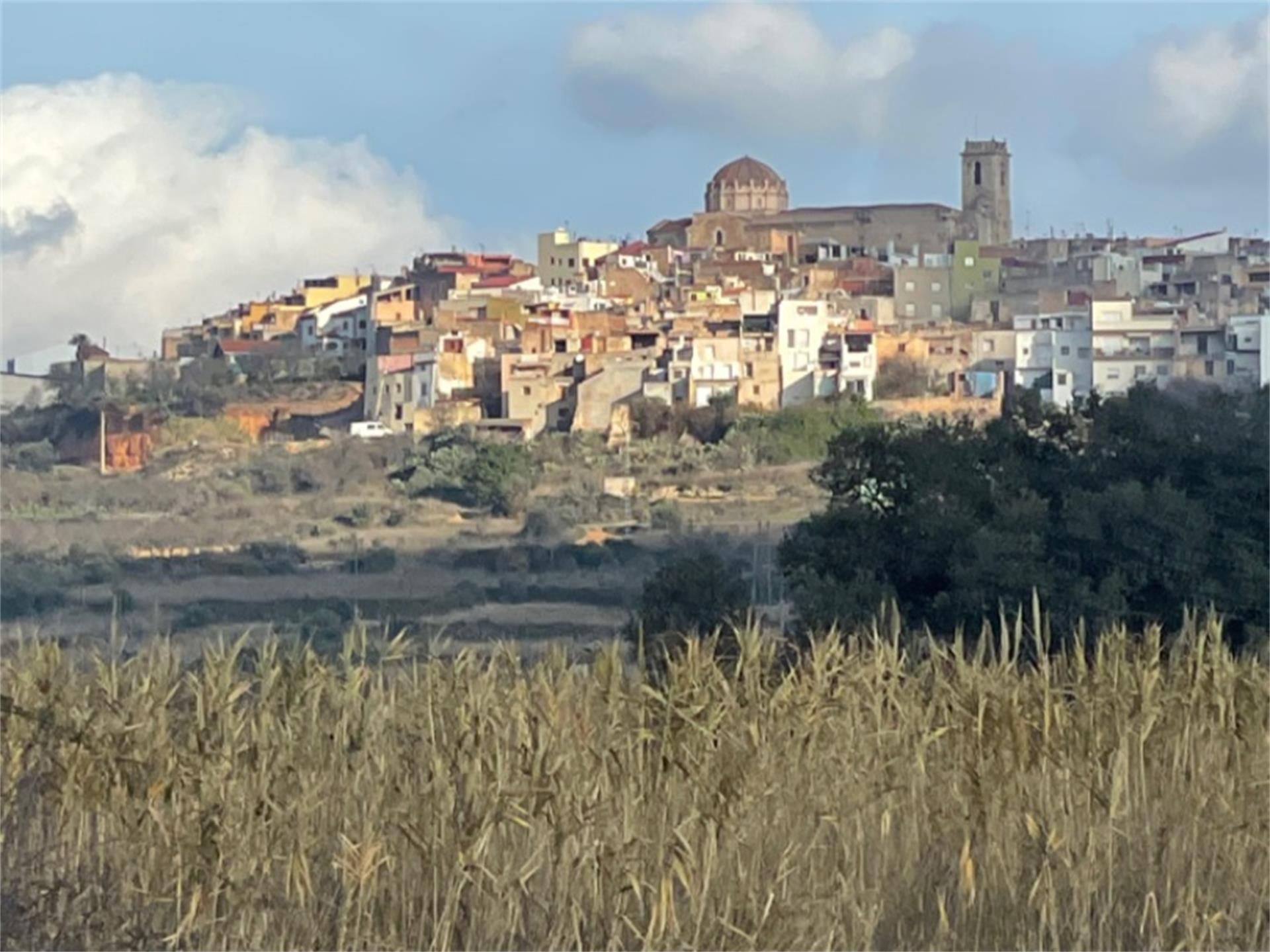 Vista exterior de Finca rústica en venda en Canet lo Roig amb Terrassa i Balcó