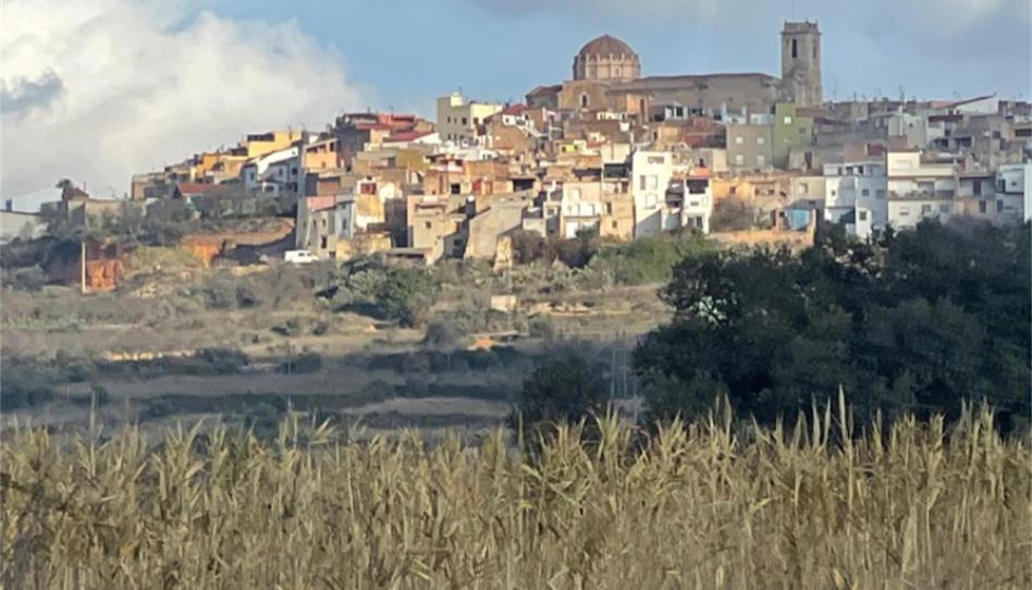 Finca rústica en venda a Calle Soldevila, 39, Canet lo Roig, Castellón - imatge 1 Foto 1 de Finca rústica en venda a Calle Soldevila, 39, Canet lo Roig, Castellón