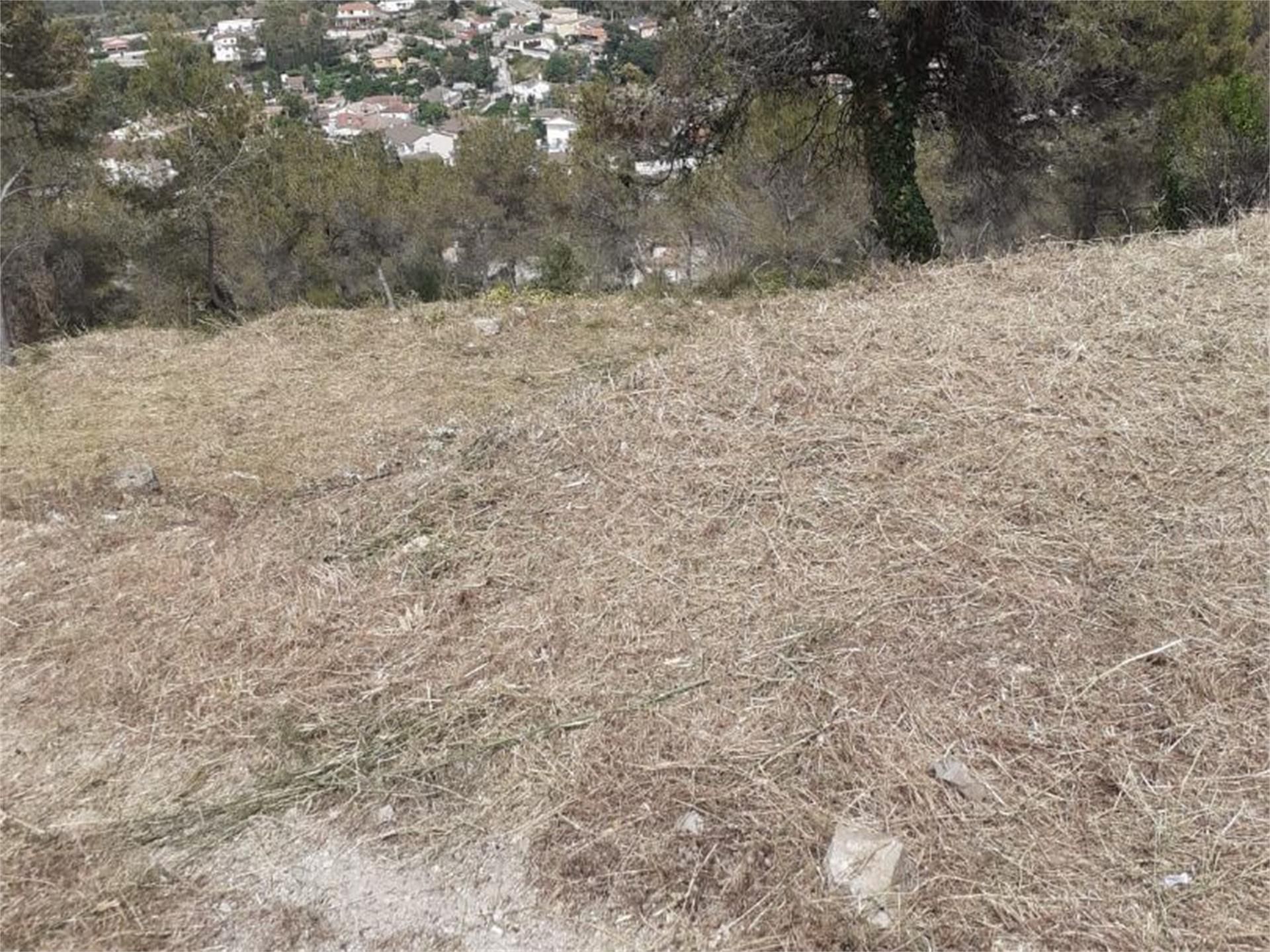 Constructible Land for sale in Canyelles