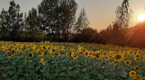 Foto 2 de Finca rústica en venda a Bu-v-6214, Rebolledo de la Torre, Burgos