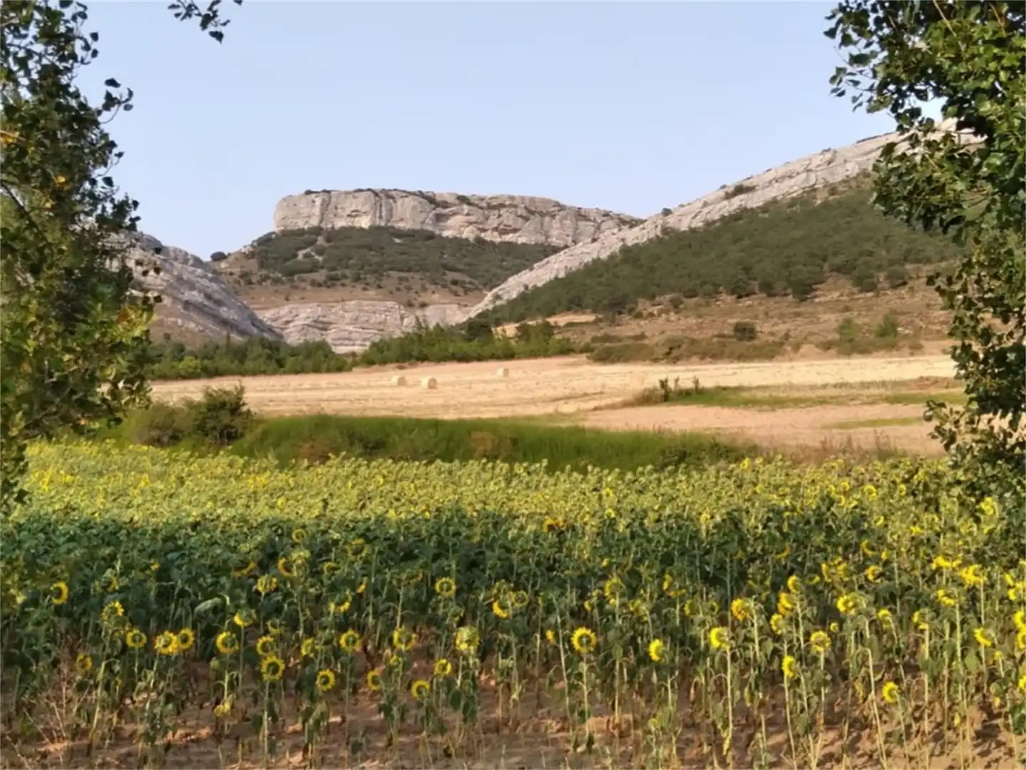 Vista exterior de Finca rústica en venda en Rebolledo de la Torre