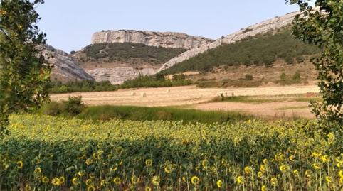 Foto 4 de Finca rústica en venda a Bu-v-6214, Rebolledo de la Torre, Burgos