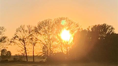 Pis en venda a Calle Caba, 19, Villalcón, Palencia - imatge 5 Foto 5 de Pis en venda a Calle Caba, 19, Villalcón, Palencia