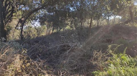 Foto 2 de Terreno en venta en Camí del Remei, 75, Arenys de Munt, Barcelona