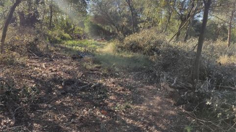 Foto 4 de Terreno en venta en Camí del Remei, 75, Arenys de Munt, Barcelona