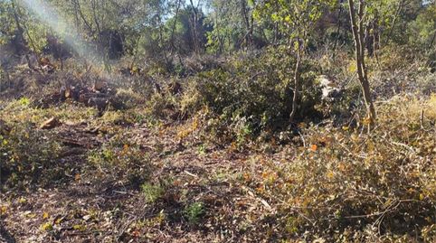 Foto 5 de Terreno en venta en Camí del Remei, 75, Arenys de Munt, Barcelona