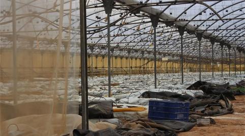 Non-constructible Land for sale in Camino Morredondo, Club de Tenis, Valencia - image 2 Photo 2 of Non-constructible Land for sale in Camino Morredondo, Club de Tenis, Valencia