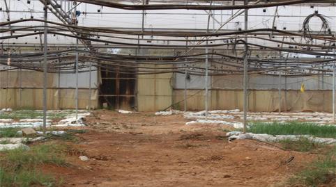 Non-constructible Land for sale in Camino Morredondo, Club de Tenis, Valencia - image 3 Photo 3 of Non-constructible Land for sale in Camino Morredondo, Club de Tenis, Valencia