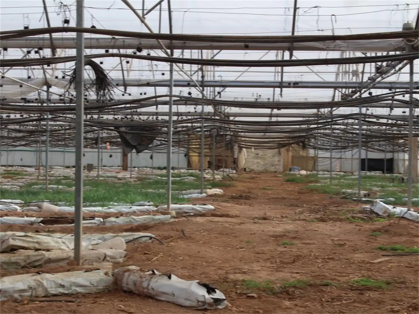 No Urbanitzable en venda a Camino Morredondo, Club de Tenis Vista exterior de No Urbanitzable en venda en Torrent