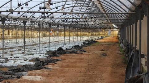 Non-constructible Land for sale in Camino Morredondo, Club de Tenis, Valencia - image 5 Photo 5 of Non-constructible Land for sale in Camino Morredondo, Club de Tenis, Valencia