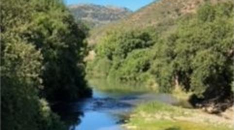 Finca rústica en venda a Calle Real Tesoro, Cortes de la Frontera, Málaga - imatge 4 Foto 4 de Finca rústica en venda a Calle Real Tesoro, Cortes de la Frontera, Málaga