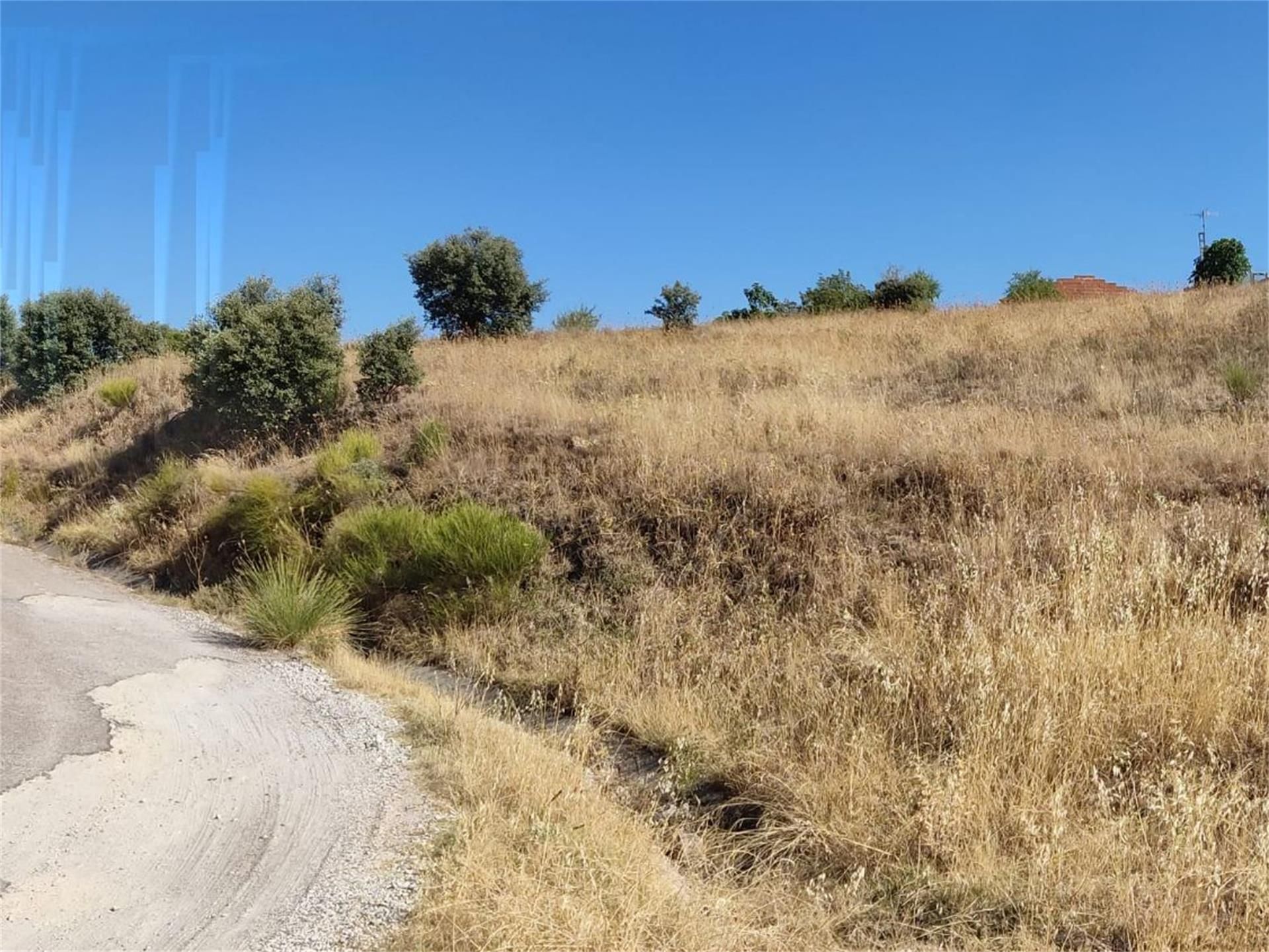 Non-constructible Land for sale in El Molar (Madrid)