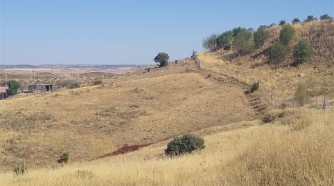 Foto 4 de No Urbanizable en venta en Avenida de Madrid, 20, El Molar (Madrid), Madrid