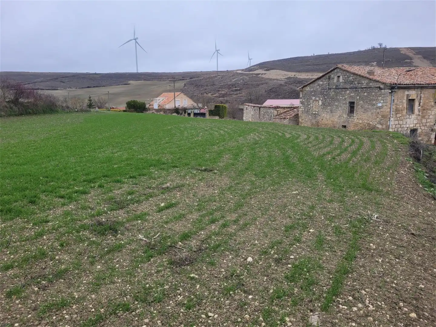 Land for sale in Calle San Pedro, 13, Valle de Santibáñez Land for sale in Valle de Santibáñez