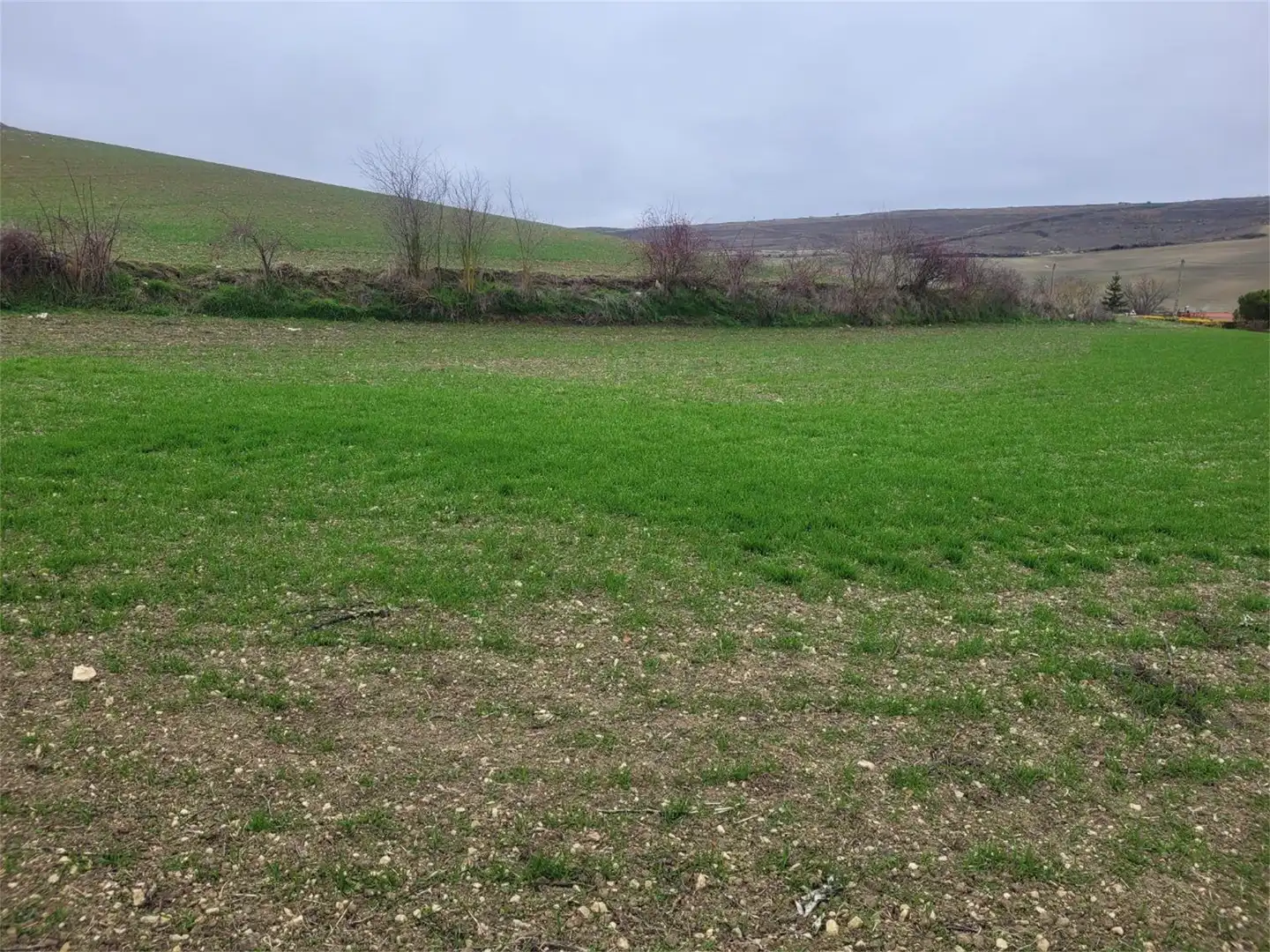 Land for sale in Calle San Pedro, 13, Valle de Santibáñez Land for sale in Valle de Santibáñez