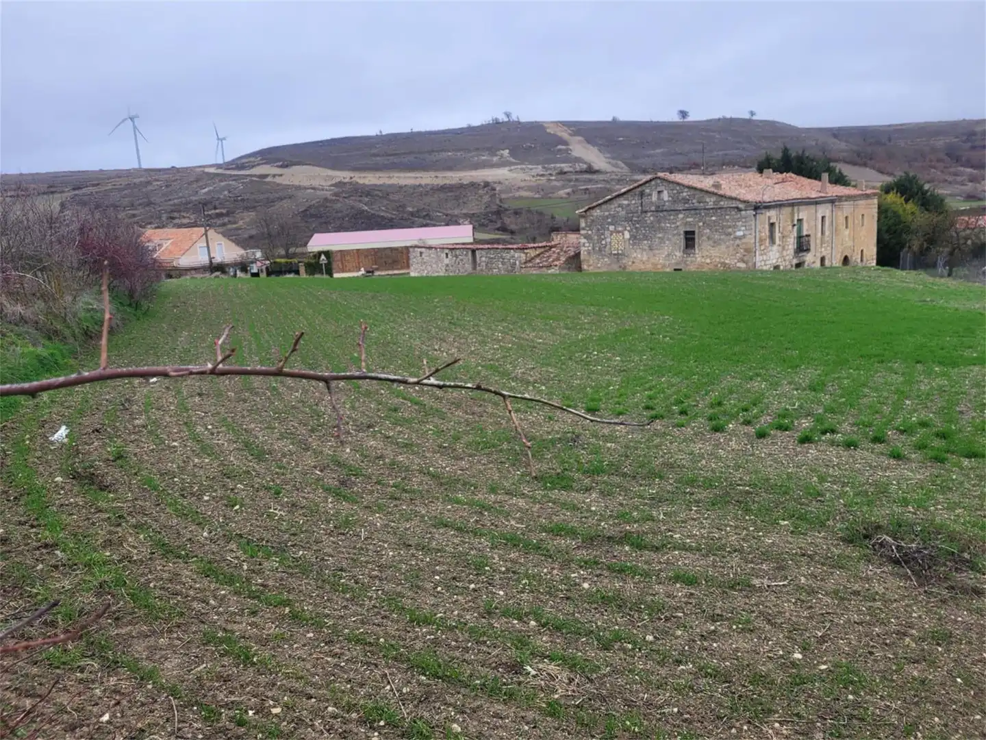 Land for sale in Calle San Pedro, 13, Valle de Santibáñez Land for sale in Valle de Santibáñez