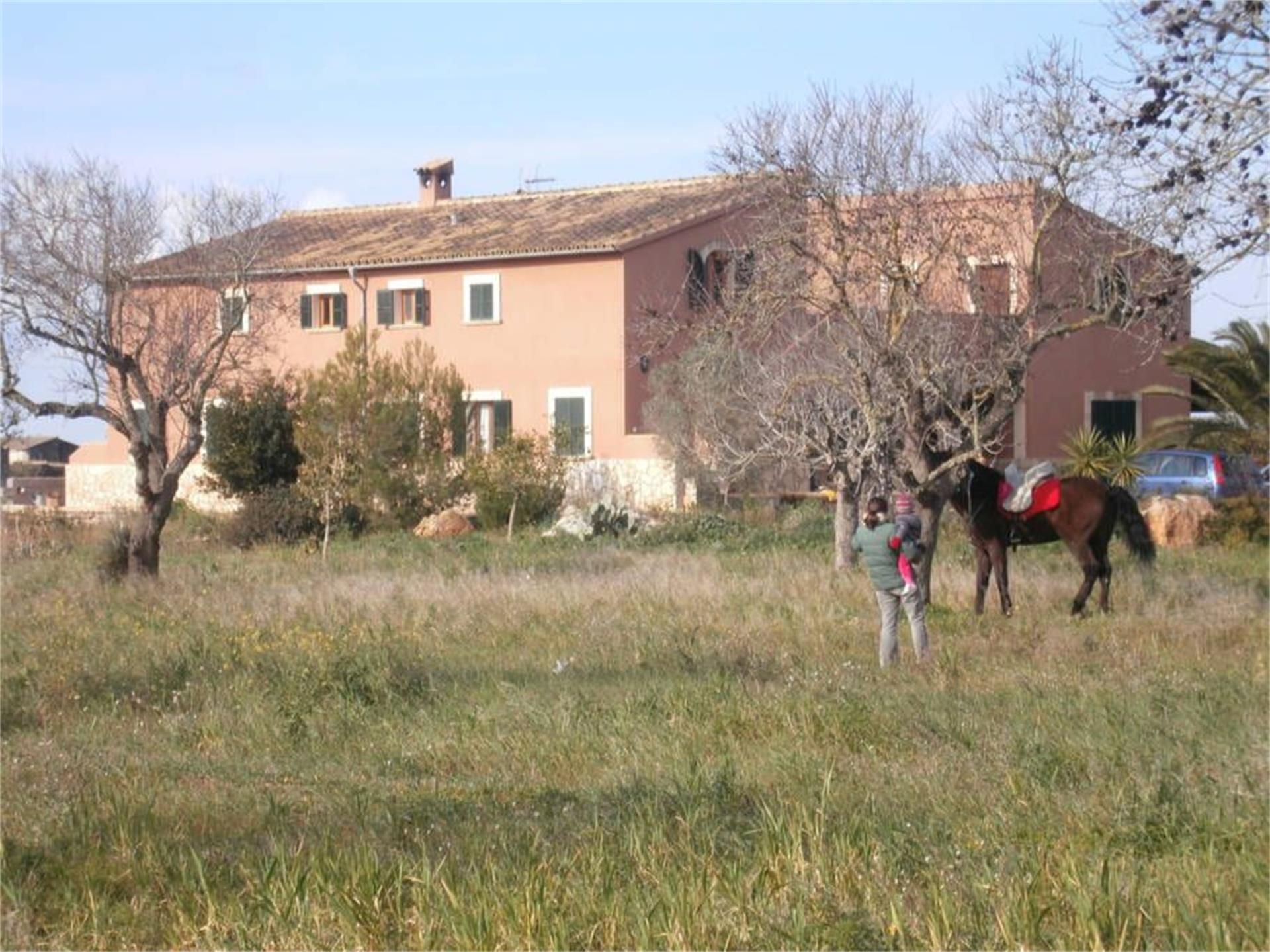 Exterior view of Country house for sale in Campos  with Terrace
