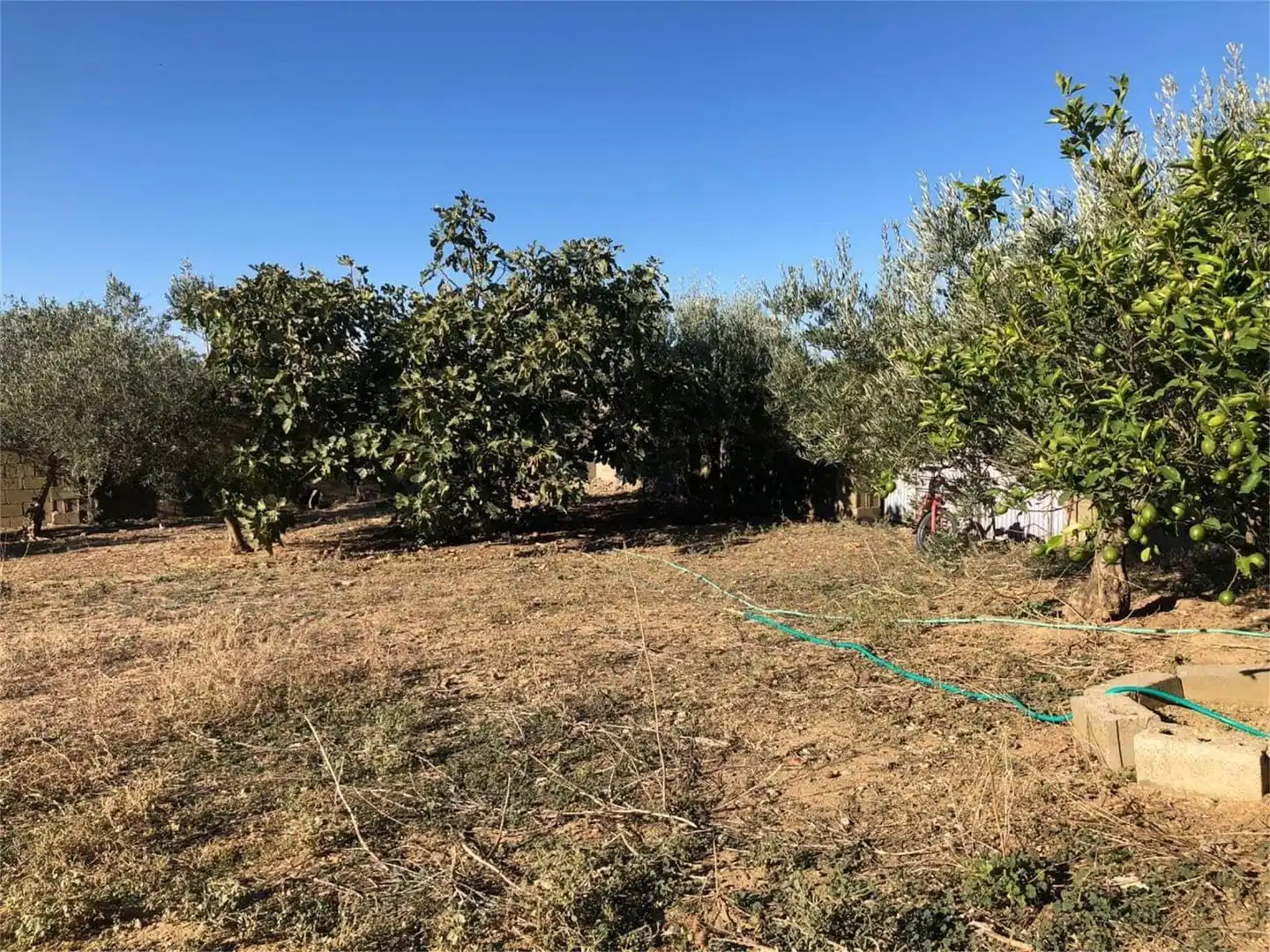 Terreno en venta en Barrio Hoya, 15, Torrecillas de la Tiesa Terreno en venta en Torrecillas de la Tiesa
