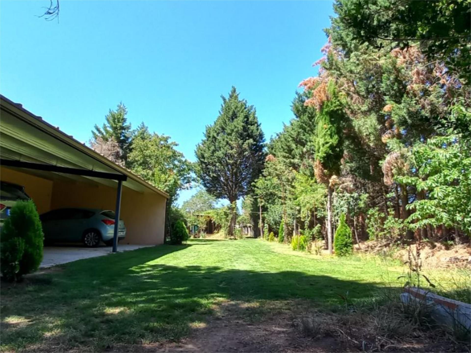 Garden of Land for sale in Benavides