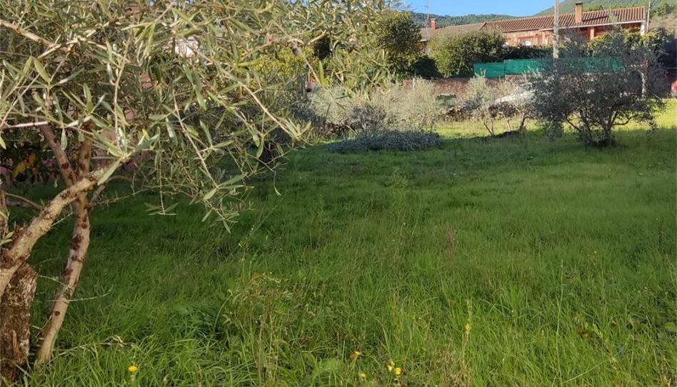 Constructible Land for sale in Calle Rocandelario, 88, Caminomorisco, Cáceres - image 1 Photo 1 of Constructible Land for sale in Calle Rocandelario, 88, Caminomorisco, Cáceres