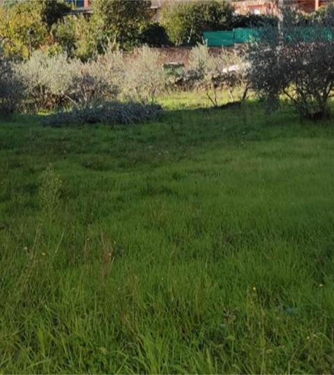 Constructible Land for sale in Calle Rocandelario, 88, Caminomorisco, Cáceres - image 2 Photo 2 of Constructible Land for sale in Calle Rocandelario, 88, Caminomorisco, Cáceres