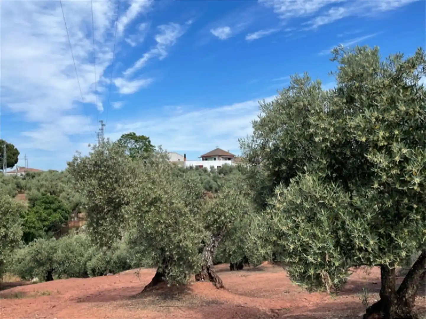 Country house zum Verkauf in Plaza España, Montoro Außenansicht von Country house zum Verkauf in Montoro mit Terrasse, Schwimmbad und Balkon