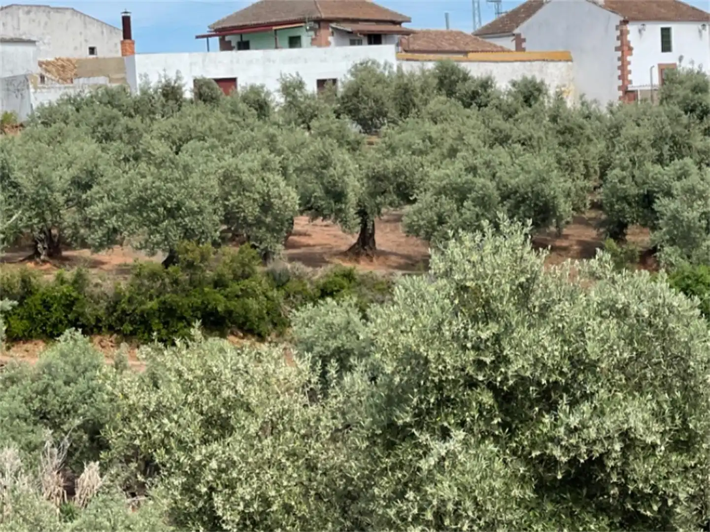 Country house zum Verkauf in Plaza España, Montoro Garten von Country house zum Verkauf in Montoro mit Terrasse, Schwimmbad und Balkon