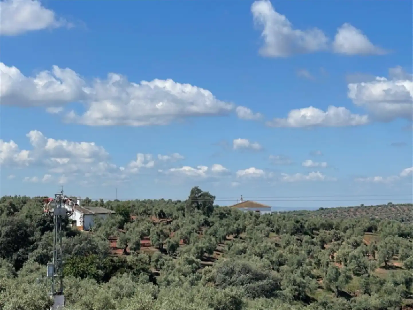 Country house zum Verkauf in Plaza España, Montoro Garten von Country house zum Verkauf in Montoro mit Terrasse, Schwimmbad und Balkon