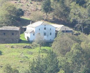 Vista exterior de Finca rústica en venda en Villayón amb Calefacció, Jardí privat i Parquet