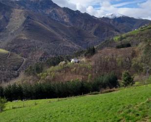 Vista exterior de Finca rústica en venda en Villayón