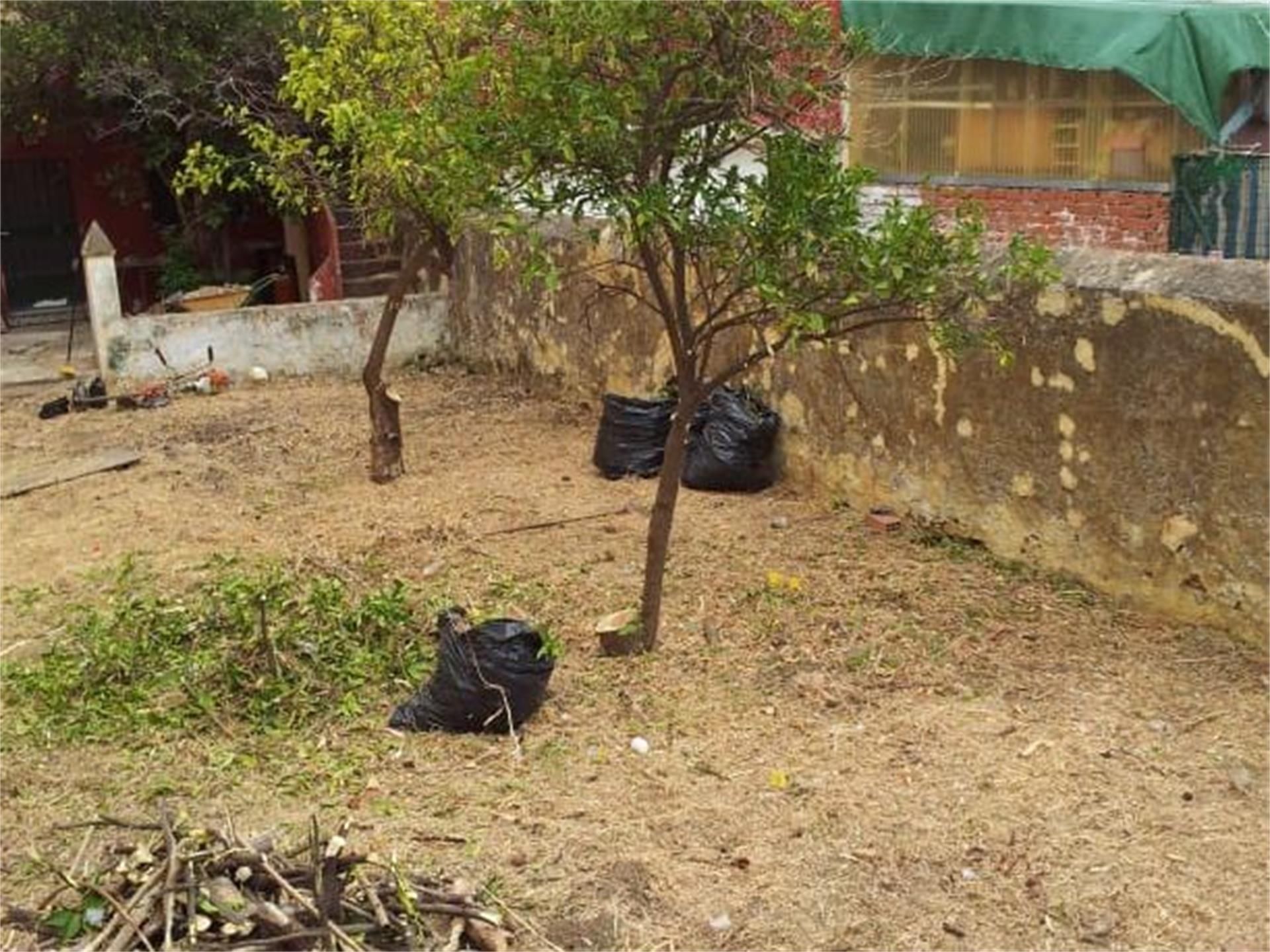 Garden of Constructible Land for sale in Los Barrios