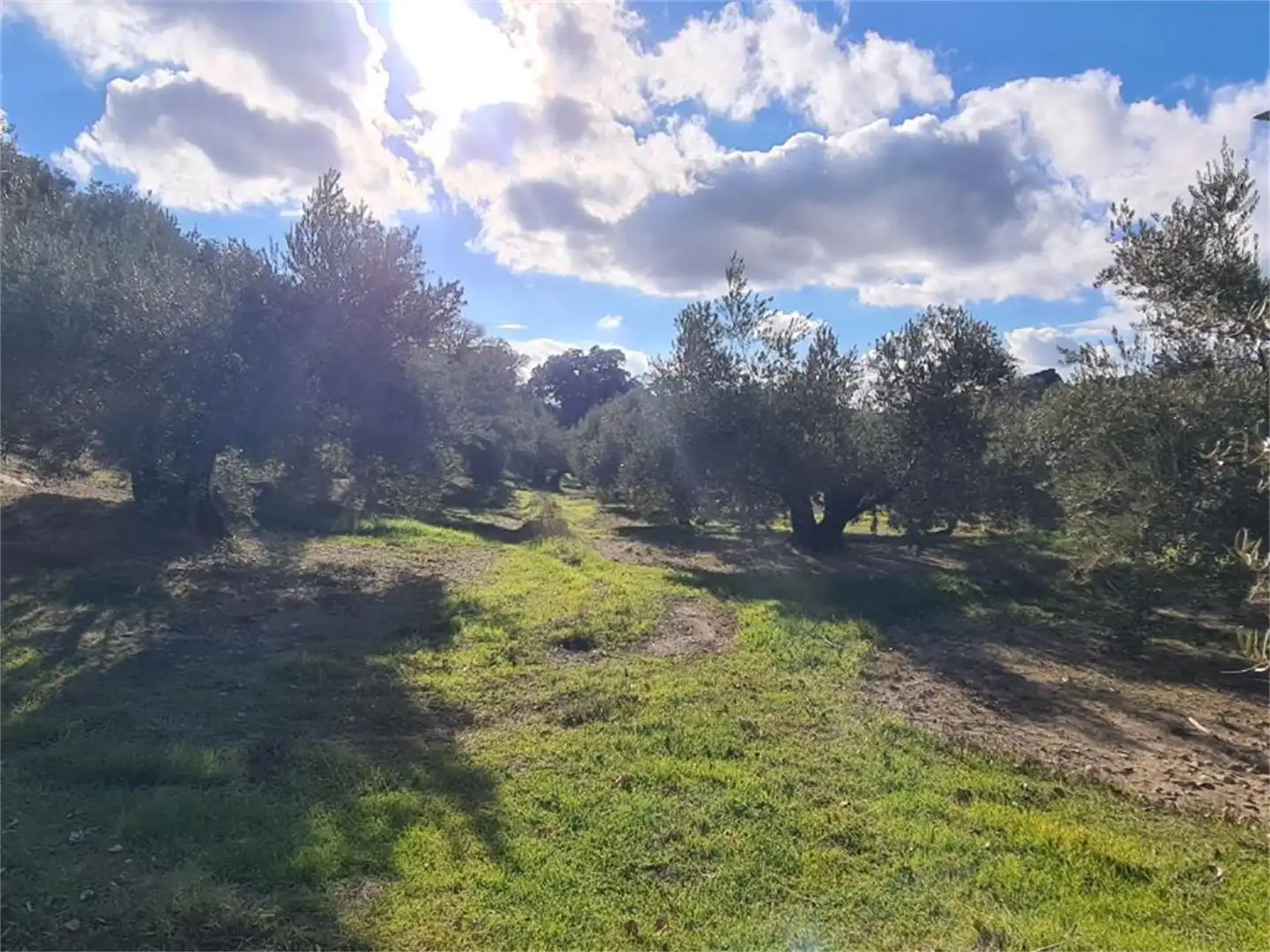 Land for sale in Frailes Land for sale in Frailes
