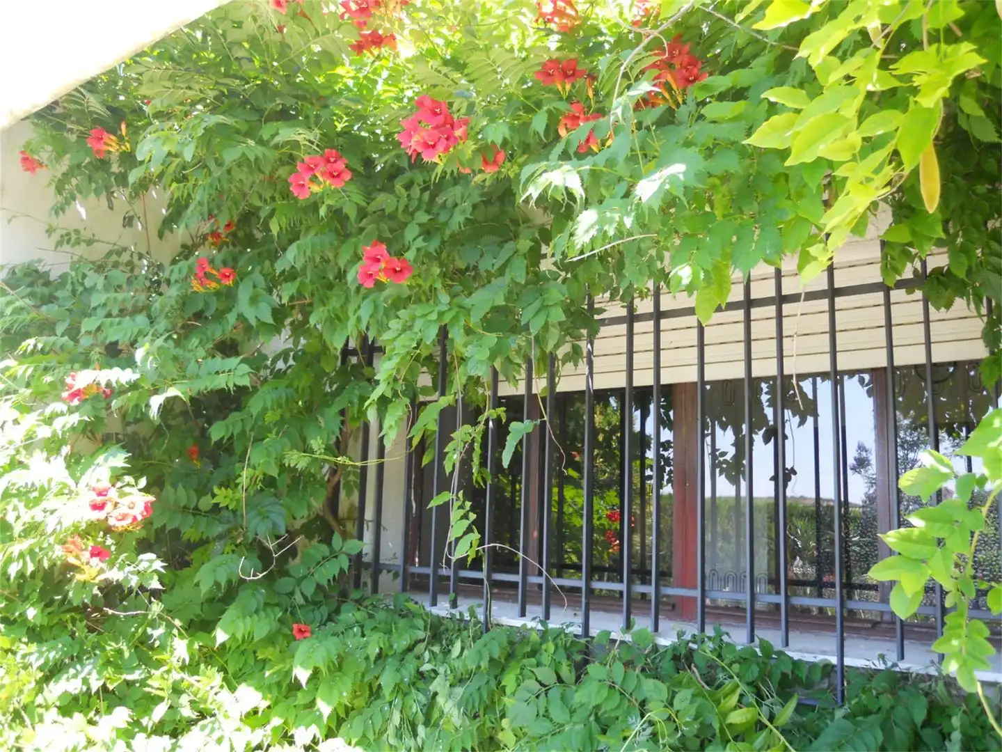 Terrassa de Casa o xalet en venda en Montemayor amb Aire condicionat, Calefacció i Jardí privat