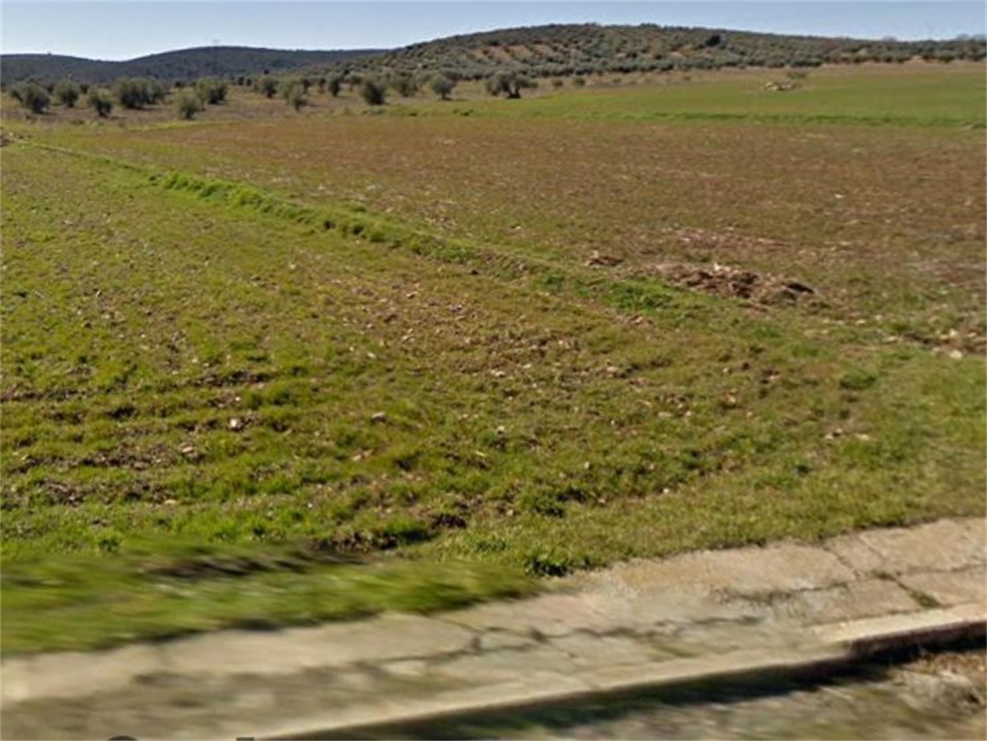 Land for sale in Los Cortijos 