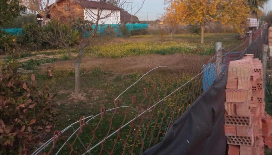 Urbanitzable en venda a Calle Los Palacios, 43, Puebla de la Reina, Badajoz - imatge 1 Foto 1 de Urbanitzable en venda a Calle Los Palacios, 43, Puebla de la Reina, Badajoz