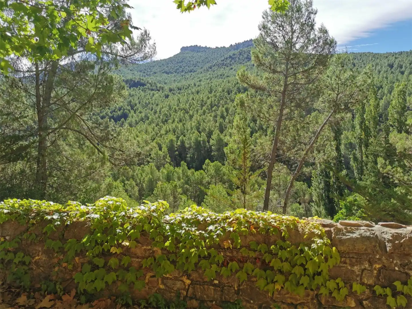 Jardí de Casa adosada en venda en Santiago-Pontones