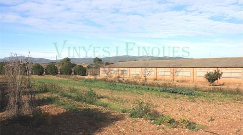 Finca rústica en venda a Castellet i la Gornal, Barcelona - imatge 5 Foto 5 de Finca rústica en venda a Castellet i la Gornal, Barcelona