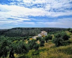 Vista exterior de Finca rústica en venda en Montoro amb Aire condicionat, Terrassa i Piscina