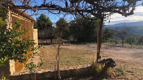 Terreno en venta en Costur, Castellón - imagen 2 Foto 2 de Terreno en venta en Costur, Castellón