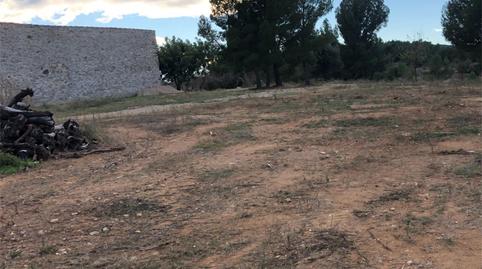 Terreno en venta en Costur, Castellón - imagen 5 Foto 5 de Terreno en venta en Costur, Castellón